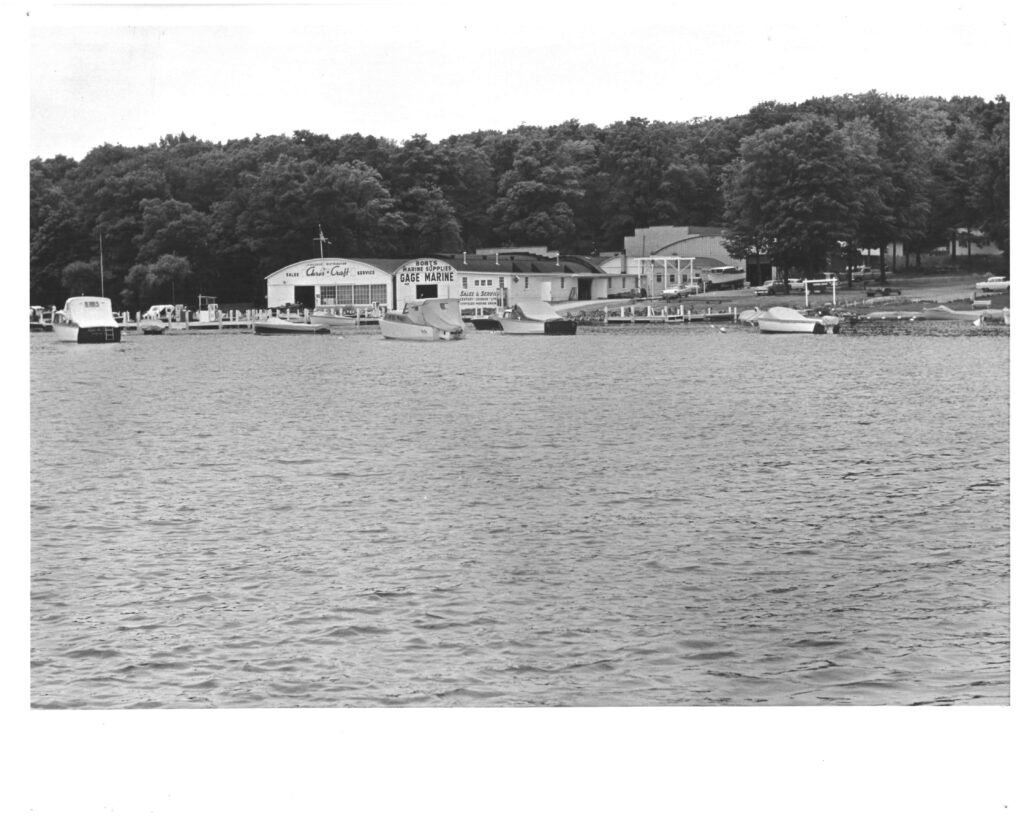 boats on a dock in front of trees